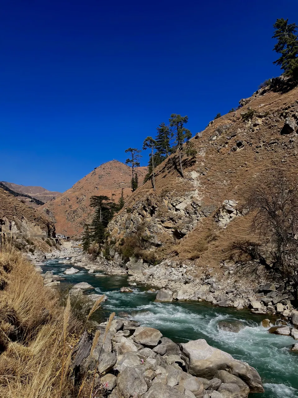A clear mountain river flowing through a rocky gorge.