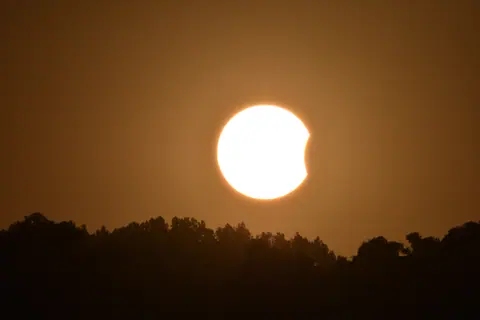A partial solar eclipse above a dark tree line.